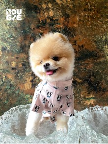 Peach Little Frenchie Shirt - Authentic Japan